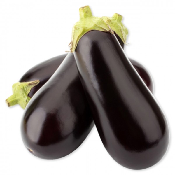 Aubergine (IT)