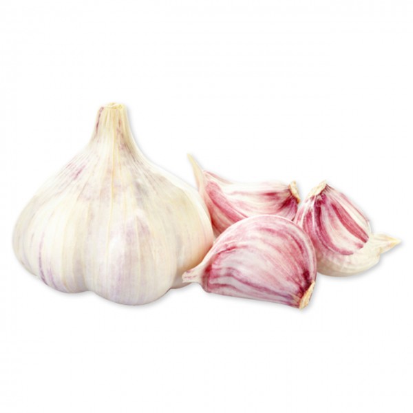 Knoblauch (IT)