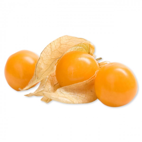 Physalis (IT)