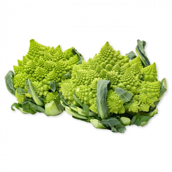 Romanesco (DE)