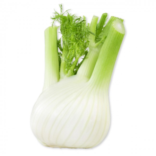 Fenchel (ES)