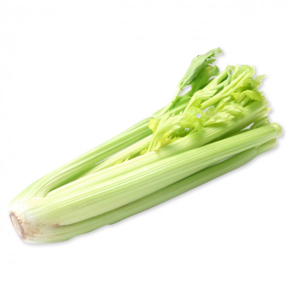 Staudensellerie (DE)